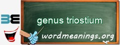 WordMeaning blackboard for genus triostium